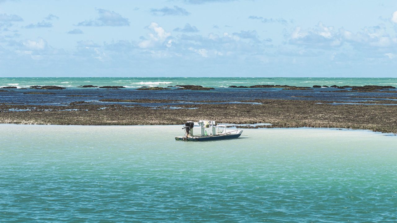 alex-braga-rhV28yBkzcY-unsplash