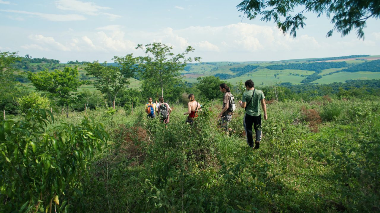 camila-cordeiro-pnIU552i4bs-unsplash