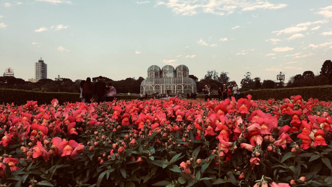 camila-figueiredo-fwiUONJkRrM-unsplash