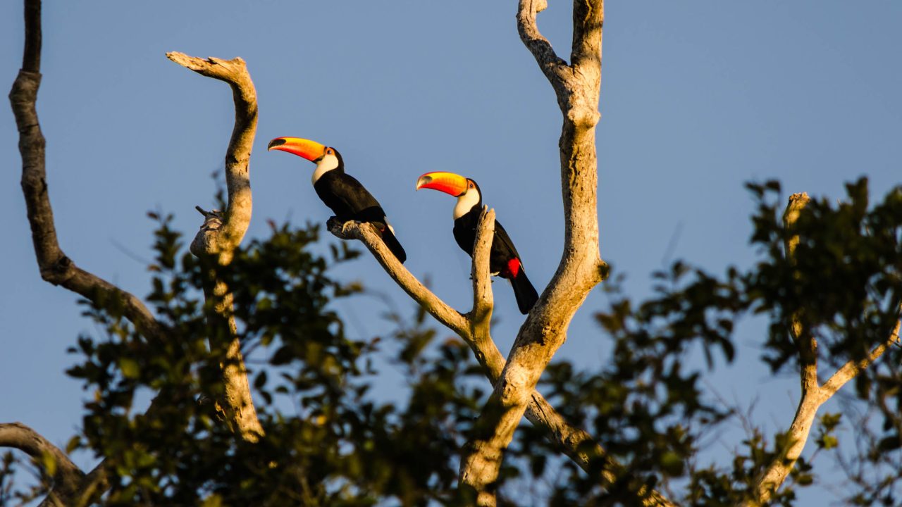 desert-morocco-adventure-HrV0gQYlEyY-unsplash