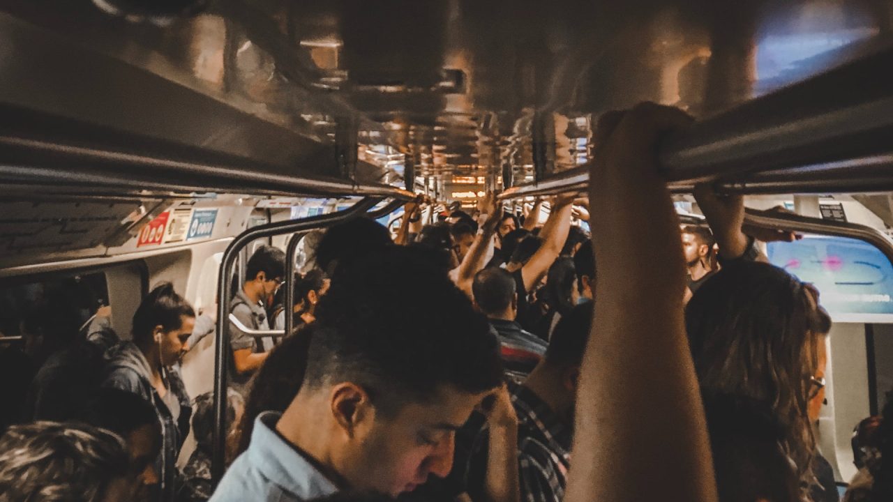 heron-rossato-h_rossato-Iv3eg_W_DFY-unsplash (1)