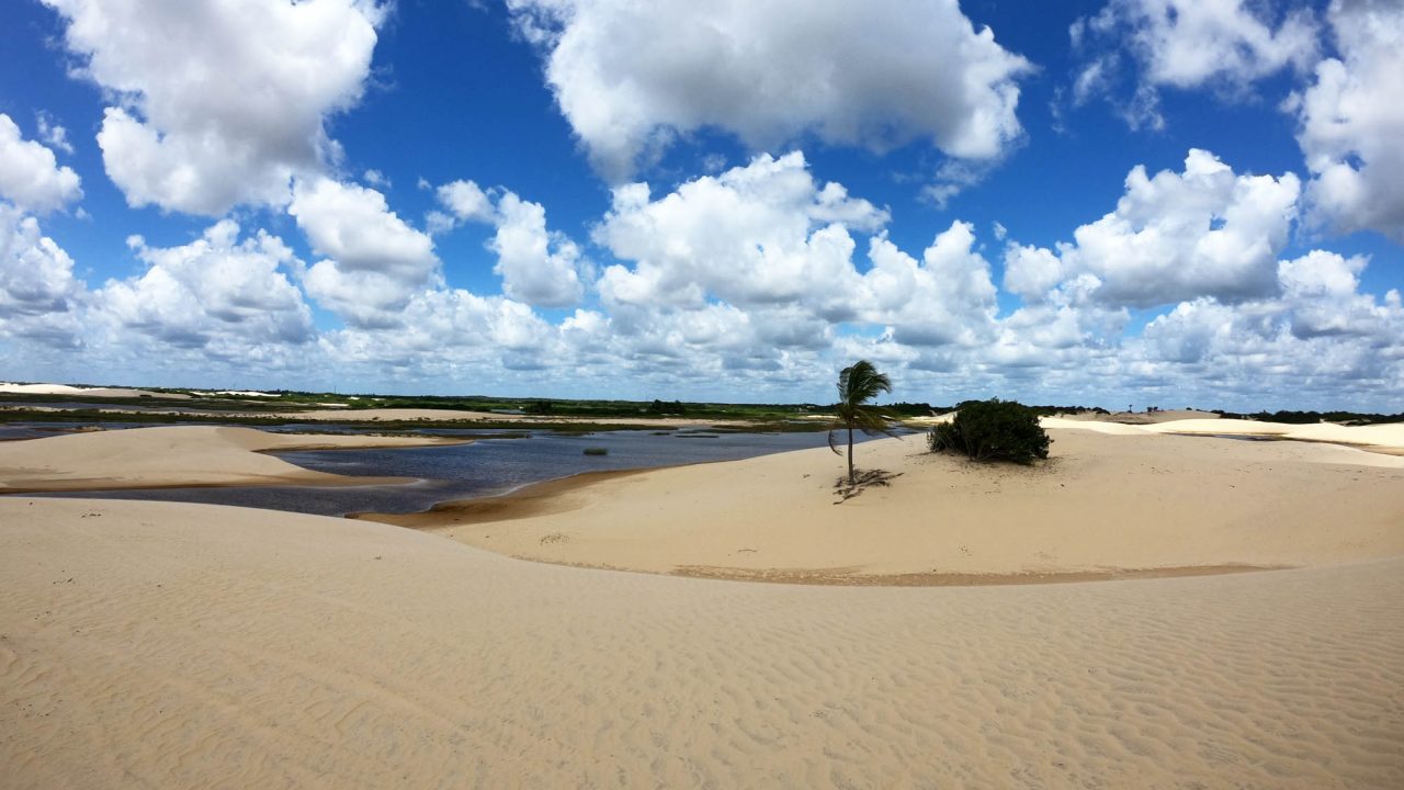 marcus-dall-col-6qdTjVIzQFQ-unsplash