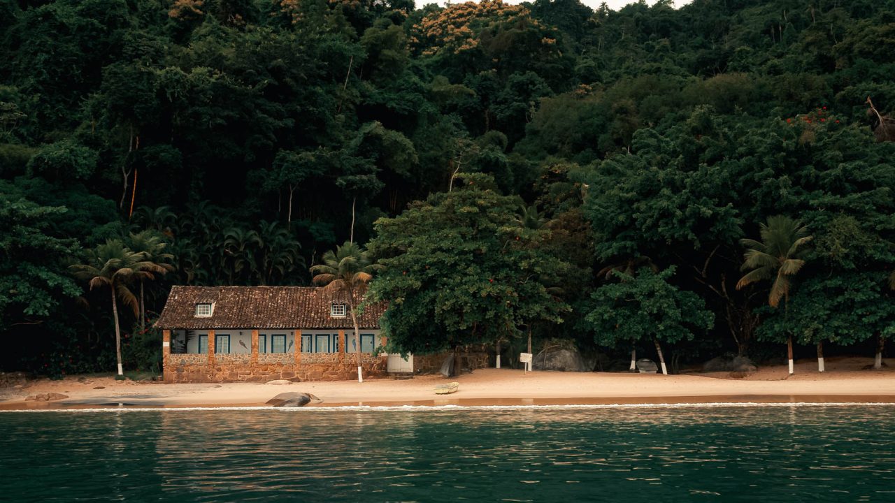 mauro-lima-lOr5fSzJ9tQ-unsplash